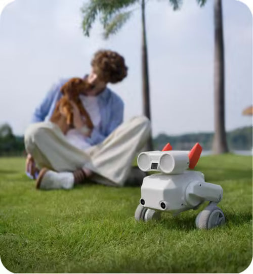 All-Terrain Camera Robot